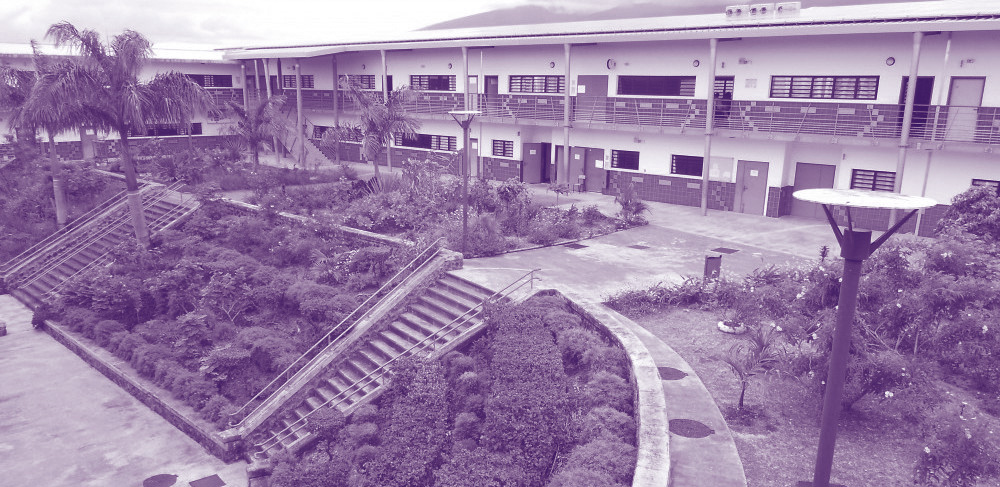 Collège Guy Moquet La Réunion TPMJ